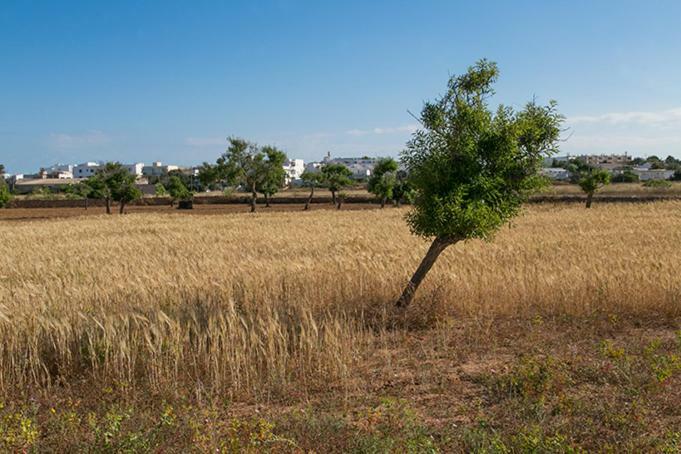 Apartmán Ca Na Maria Teueta San Ferrán de ses Roques Exteriér fotografie