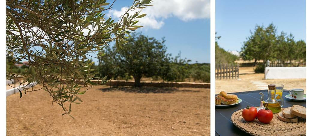 Apartmán Ca Na Maria Teueta San Ferrán de ses Roques Exteriér fotografie