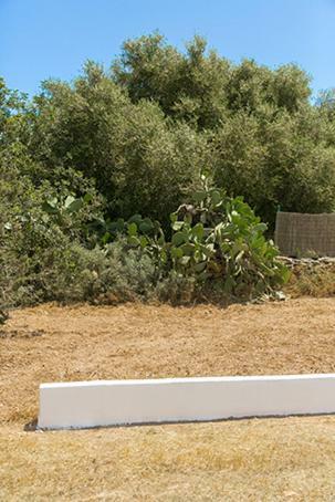 Apartmán Ca Na Maria Teueta San Ferrán de ses Roques Exteriér fotografie