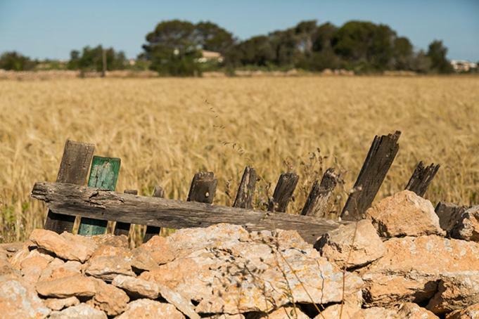 Apartmán Ca Na Maria Teueta San Ferrán de ses Roques Exteriér fotografie